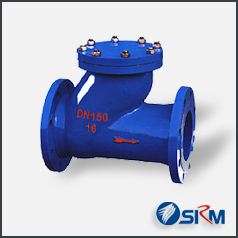 滑道滾球式止回閥